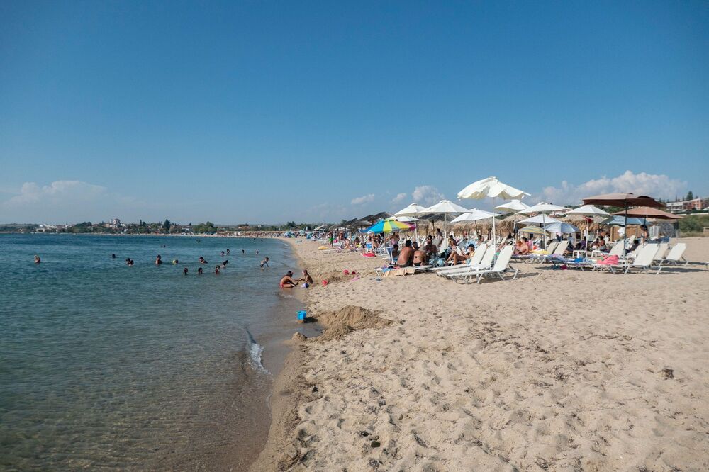Opasne ribe na grčkom moru | MegaVesti